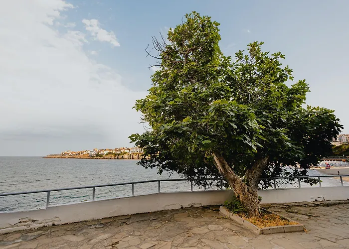 Miletia Хотел Созопол