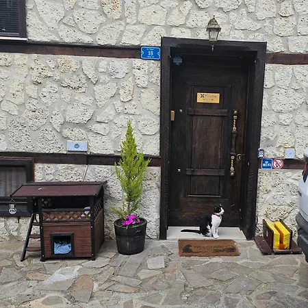 Miletia Sozopol